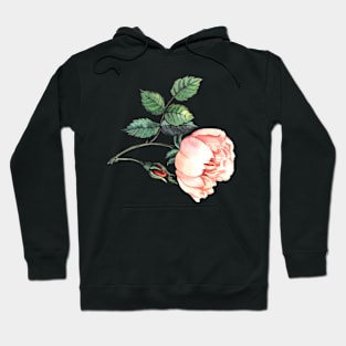 Watercolor rose Hoodie